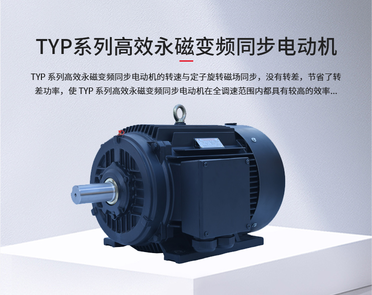 TYP系列高效永磁变频同步电动机
