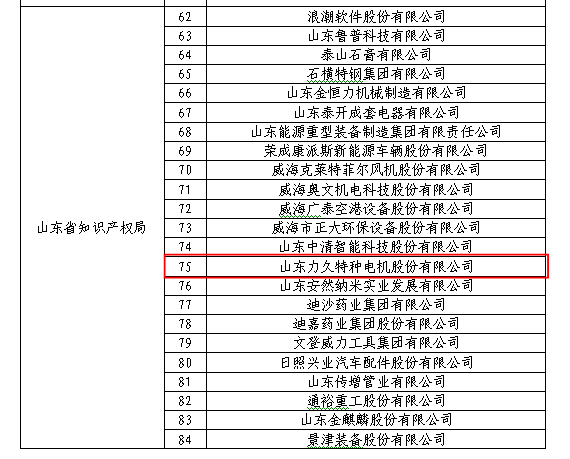 山东力久特种电机股份有限公司